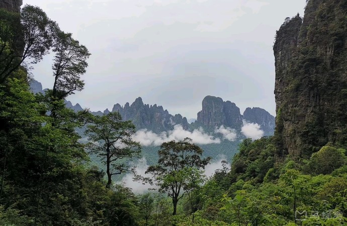 wKgEaVzjPk6AfJC_AAjdXb4EYwY66