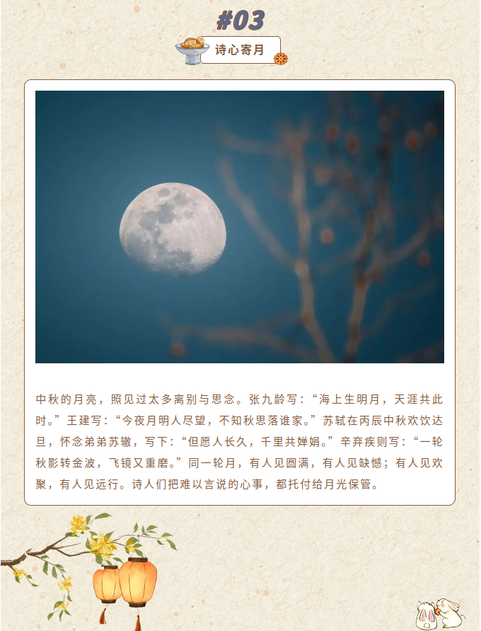 image.png?v=1790286213945
