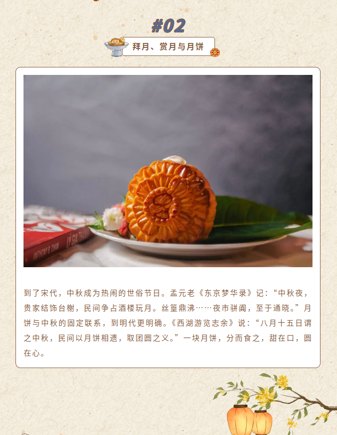 image.png?v=1790286213945
