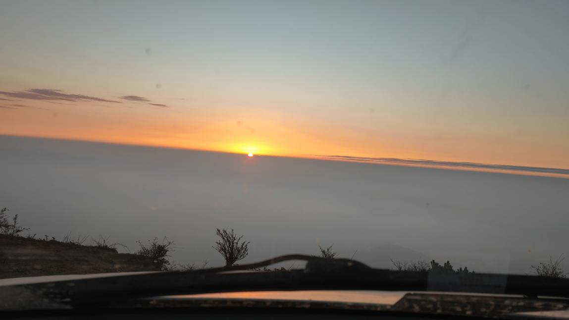 image7.jpeg