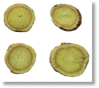 pagenumber_ebook=255,pagenumber_book=242