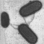 width=131,height=129,dpi=110