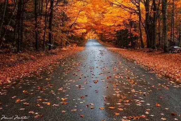 20171026202805_51ysvncvl5 20171026202805_51ysvncvl5.png?v=1769803062311