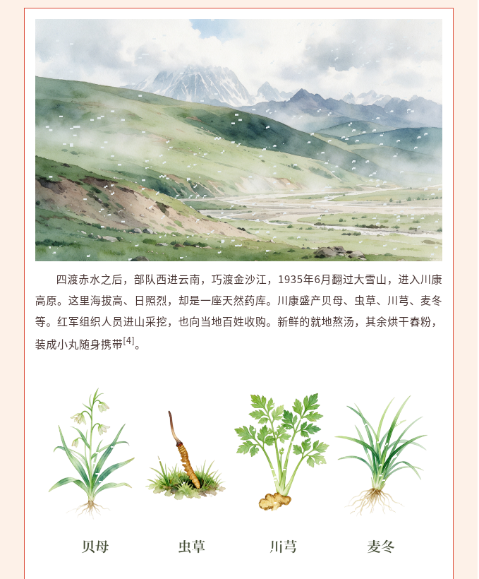 image.png?v=1792101750211