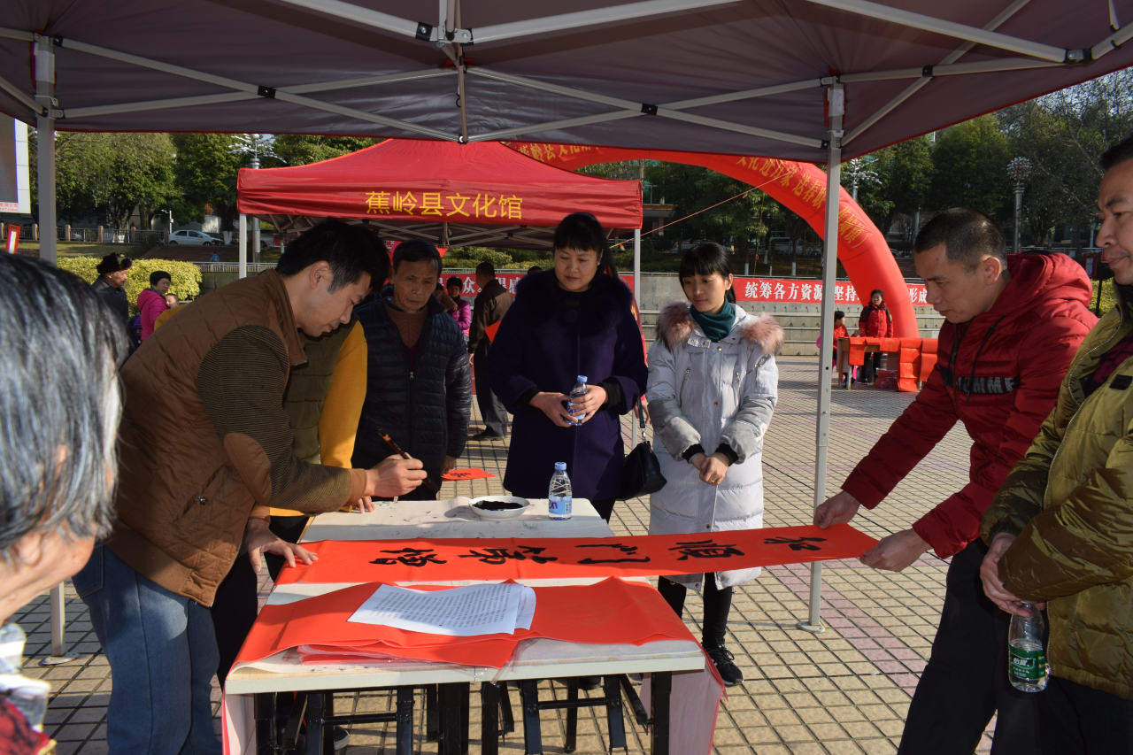 DSC_4223 DSC_4223.jpg?v=1766076921846