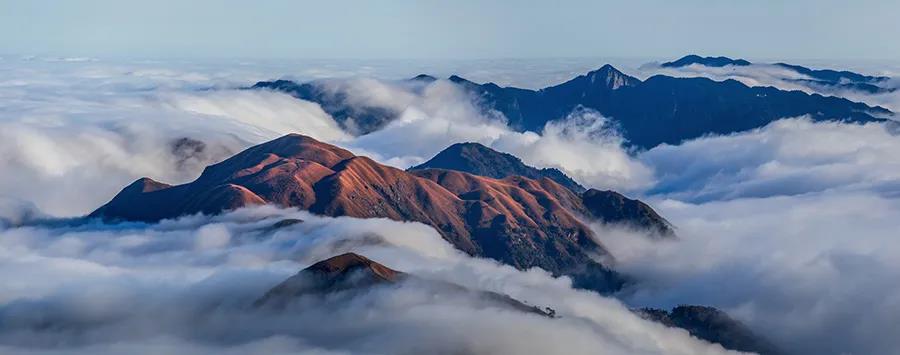 微信图片_20201013234333 微信图片_20201013234333.jpg