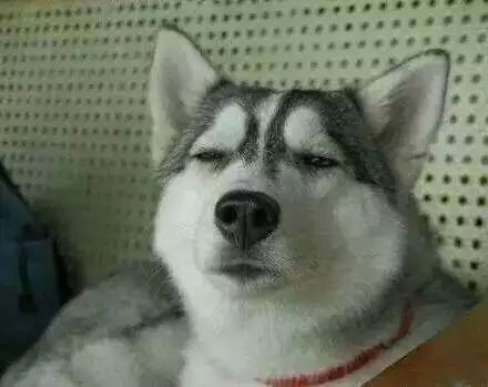 图片72 图片72.png?v=1774490097465