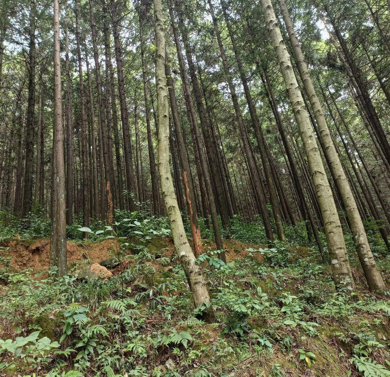 图片10 图片10.png