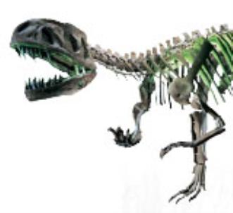 pagenumber_ebook=89,pagenumber_book=78