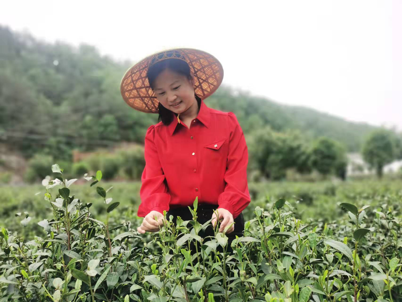 图片2 图片2.png?v=1763162837458