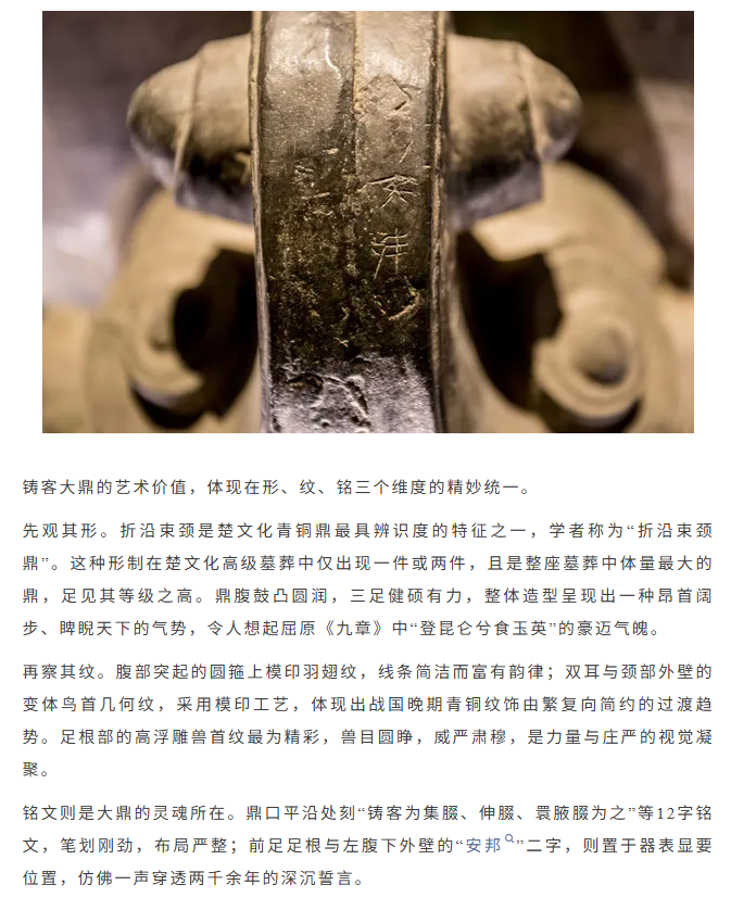 image.png?v=1782174036605