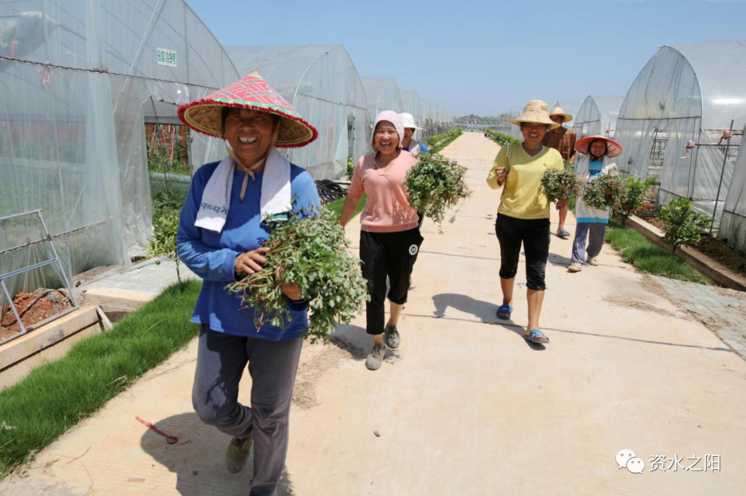 3 3.png?v=1765880751644