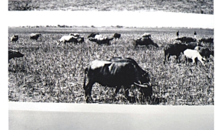 pagenumber_ebook=73,pagenumber_book=58