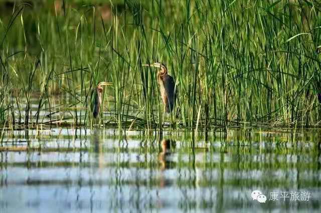 f4ad5e2a8308b4bc363eed82bfedf91 f4ad5e2a8308b4bc363eed82bfedf91.jpg