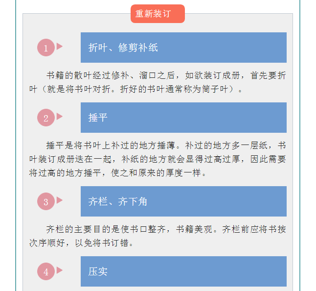 image.png?v=1754275719565
