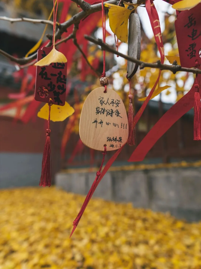 2f93dd6040d4dc5da91a6fbd0d3fdeb7png