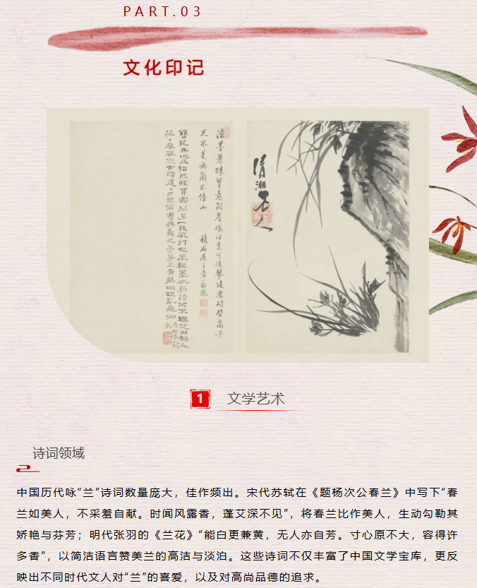 image.png?v=1762124792502