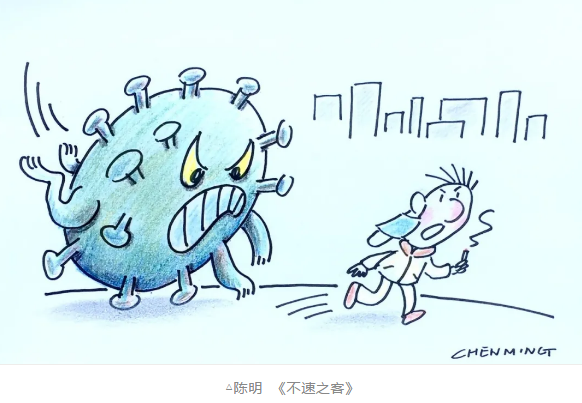 image image.png?v=1784605920644