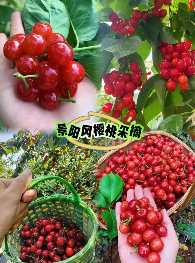 9b7b6881-c2b7-4069-8653-0cd2ec564d11png
