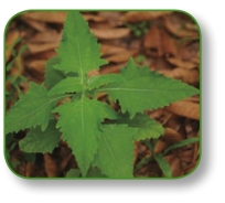 pagenumber_ebook=100,pagenumber_book=87