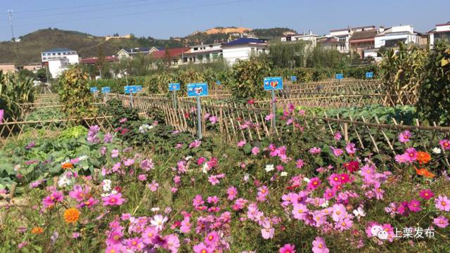 微信图片_20200712131402 微信图片_20200712131402.jpg