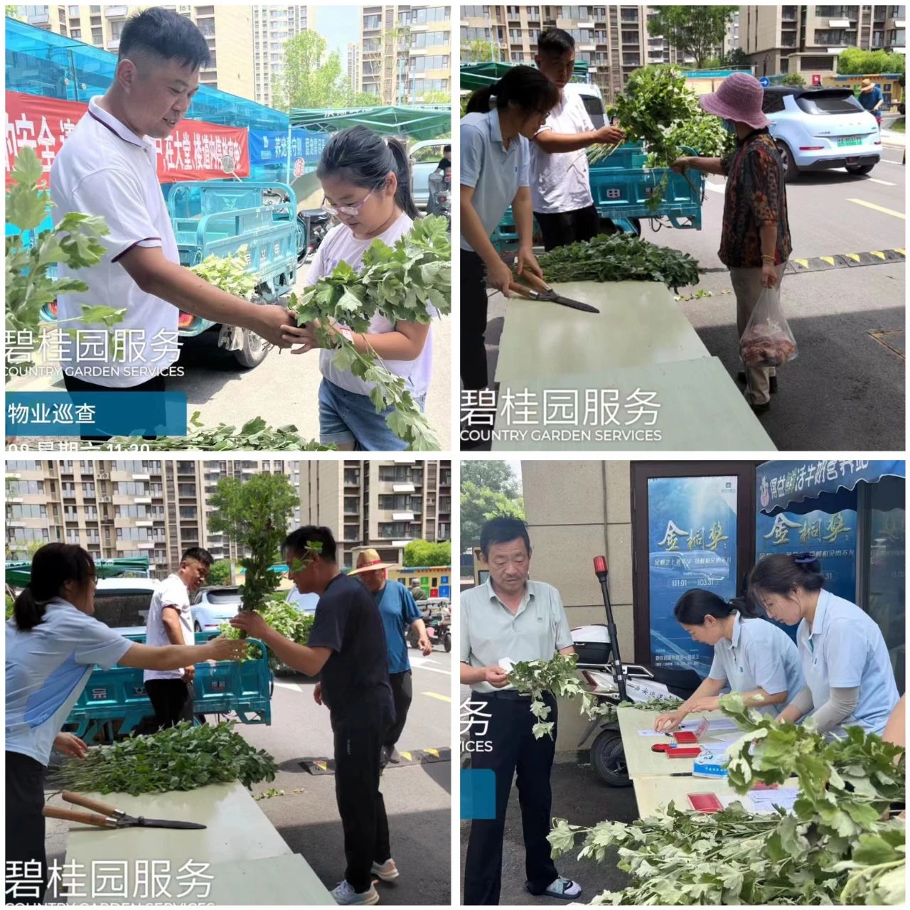 碧桂园物业.jpg