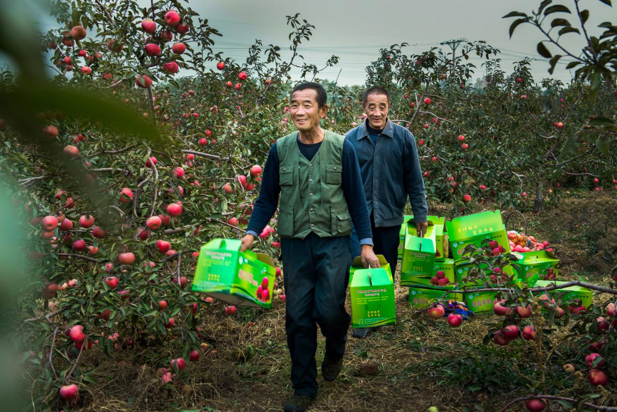 faf90b7bb70f04197b4af20bac9c4d21 faf90b7bb70f04197b4af20bac9c4d21.png