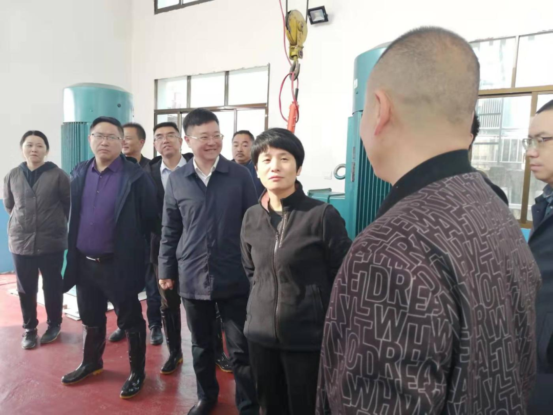 113 113.png?v=1765880410273