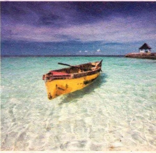 pagenumber_ebook=224,pagenumber_book=215