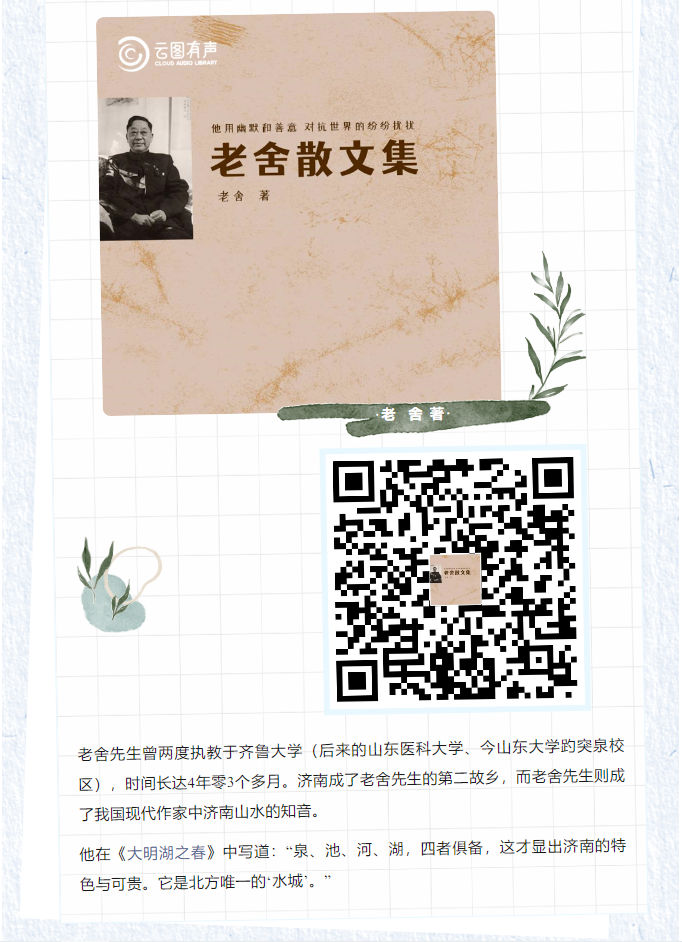 image.png?v=1751679070871