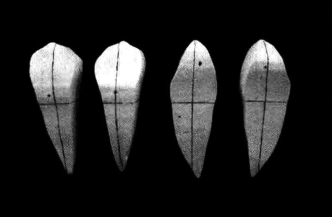 pagenumber_ebook=199,pagenumber_book=190