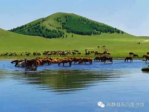 20170627183109_bnn1i0alv7 20170627183109_bnn1i0alv7.png?v=1762383431501