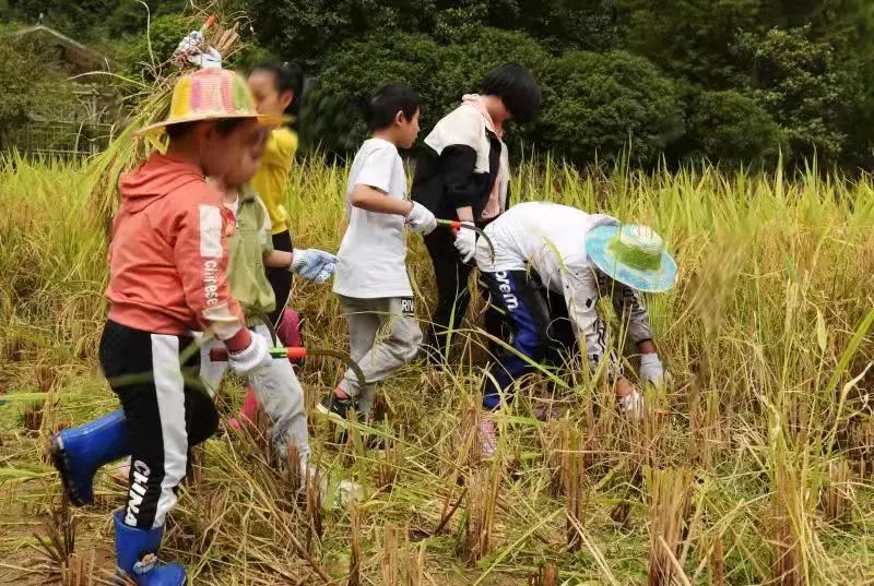 20210930_085157_001 20210930_085157_001.jpg