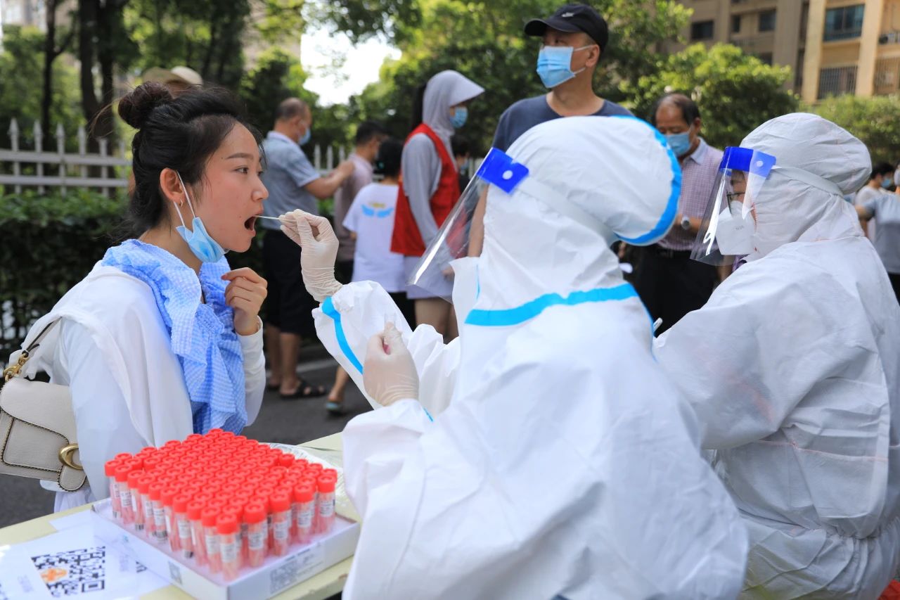 7 7.jpg?v=1765771841255