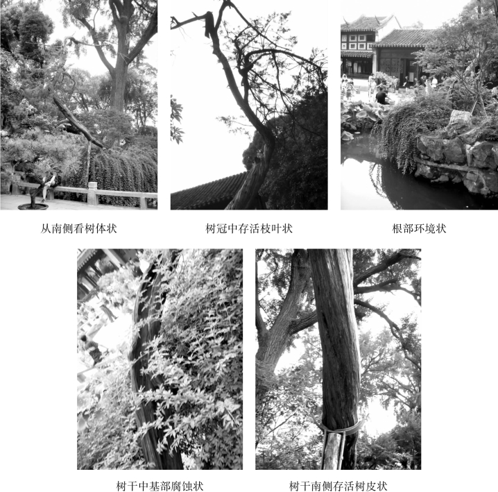 pagenumber_ebook=109,pagenumber_book=109