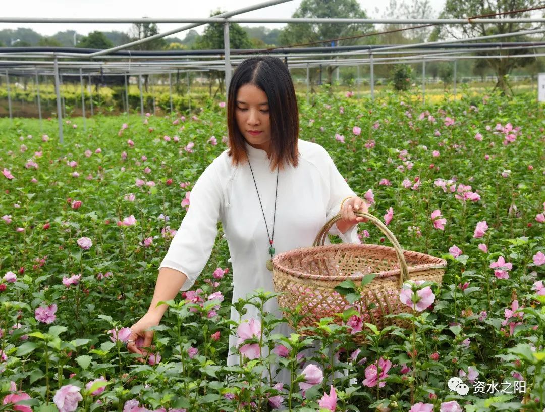 1 1.jpg?v=1765880606003