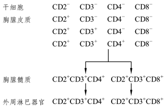 pagenumber_ebook=126,pagenumber_book=119
