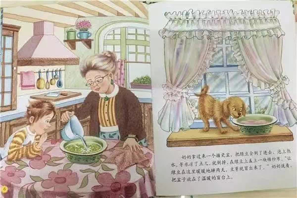 图片5 图片5.png?v=1762227190136