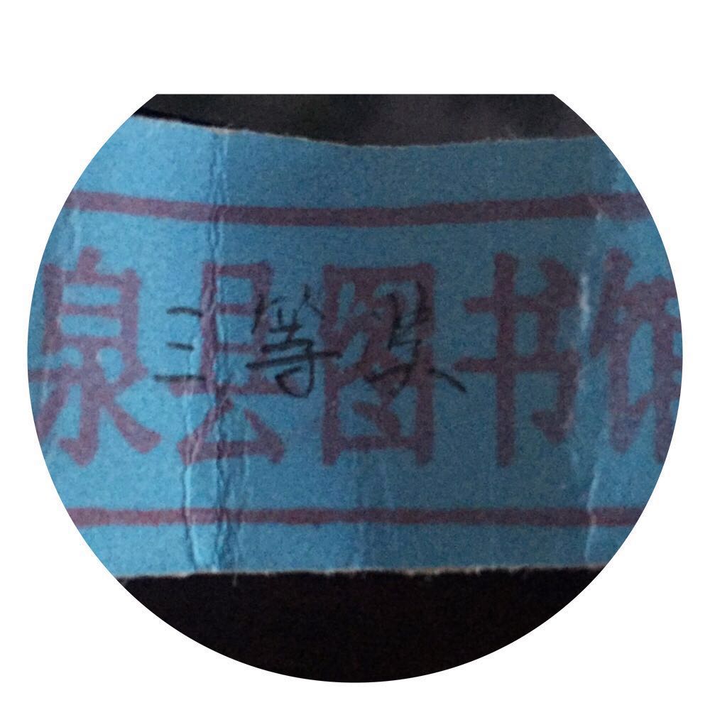 8 8.jpg?v=1764963805684