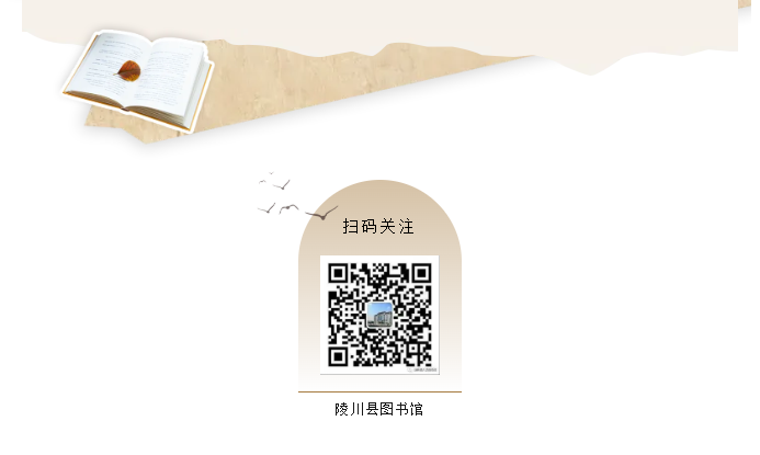 image.png?v=1762073503823