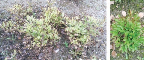 pagenumber_ebook=131,pagenumber_book=123