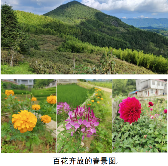 1732190264613 1732190264613.png