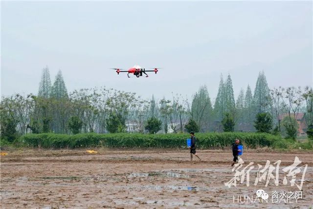 4 4.jpg?v=1765946639919