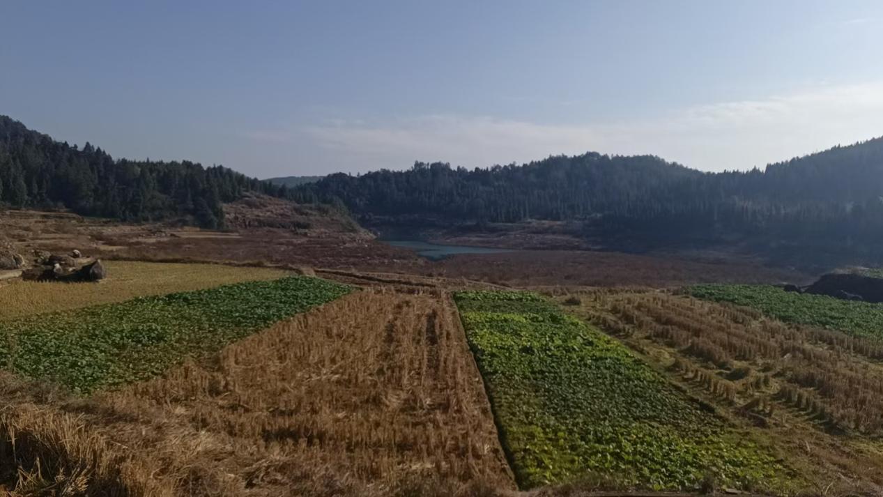 wps_doc_13 wps_doc_13.jpeg