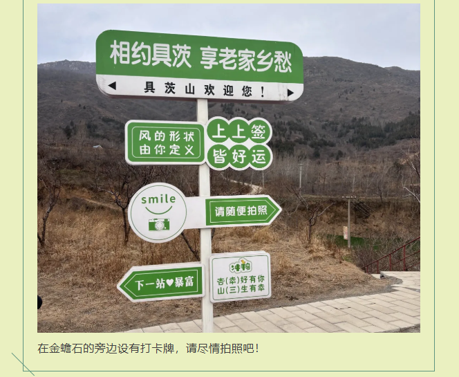 db3ff4e47de525a3515dbebf110ee710