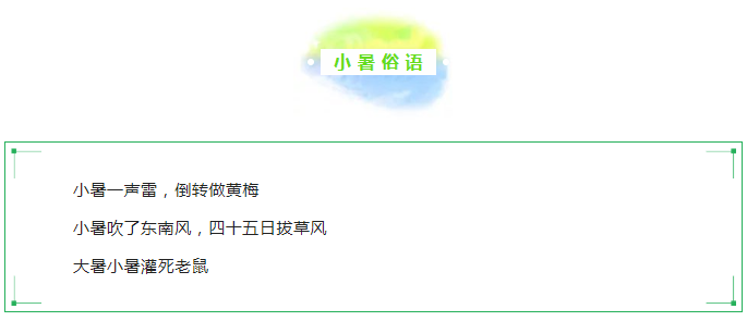 图片 图片.png?v=1761881650221