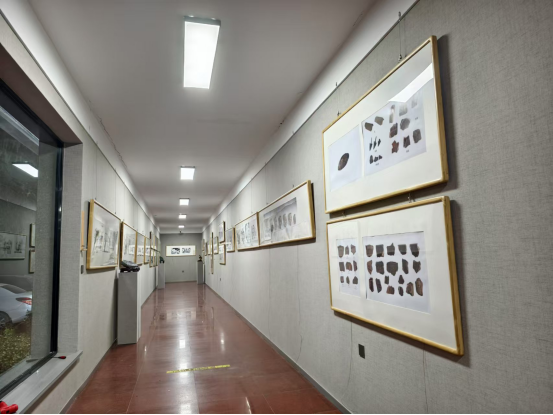 image image.png?v=1763879901717