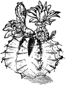 pagenumber_ebook=230,pagenumber_book=230