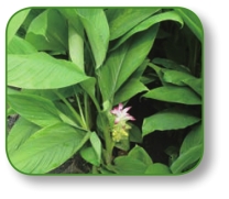 pagenumber_ebook=177,pagenumber_book=164