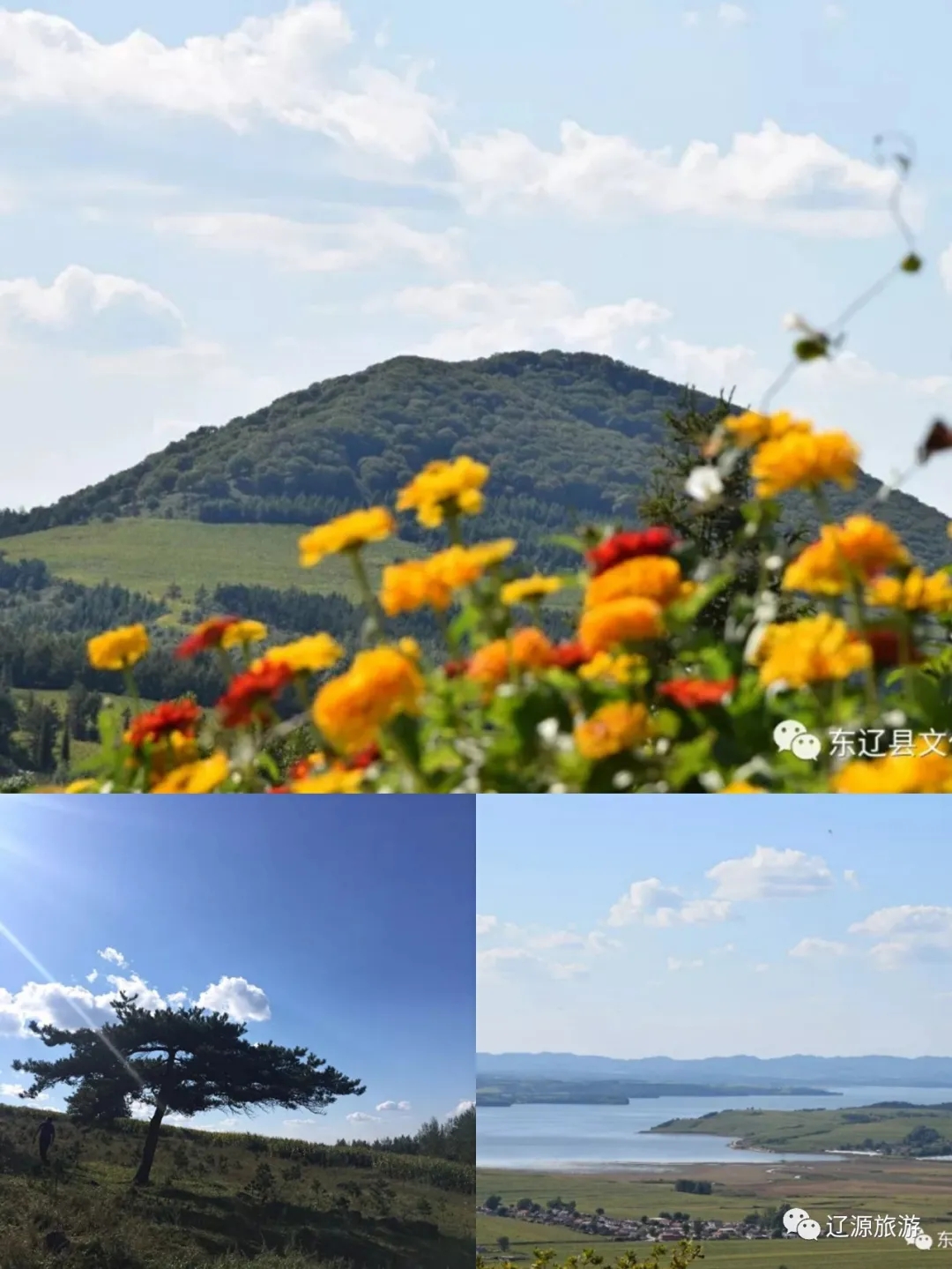 640.webp (4) 640.webp (4)